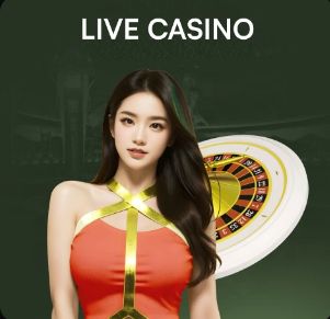 金刚弹珠弹弹乐下载